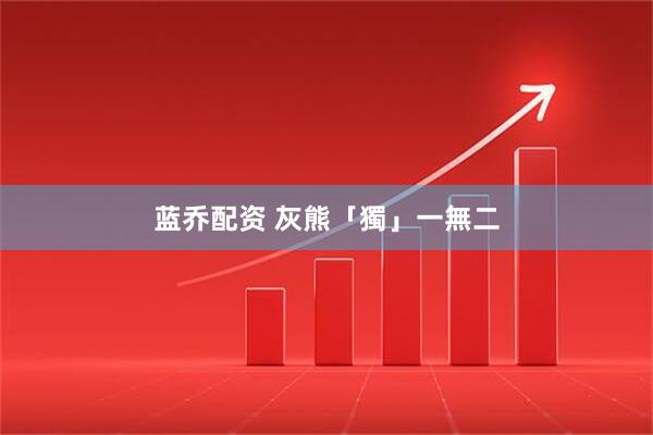 蓝乔配资 灰熊「獨」一無二
