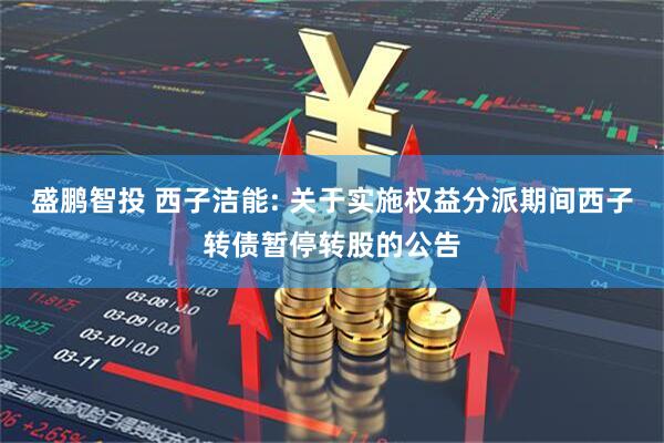 盛鹏智投 西子洁能: 关于实施权益分派期间西子转债暂停转股的公告
