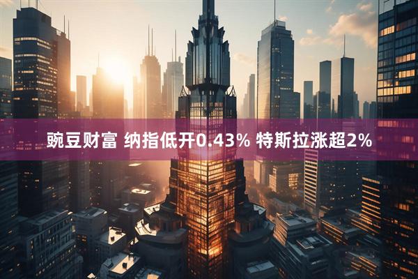 豌豆财富 纳指低开0.43% 特斯拉涨超2%