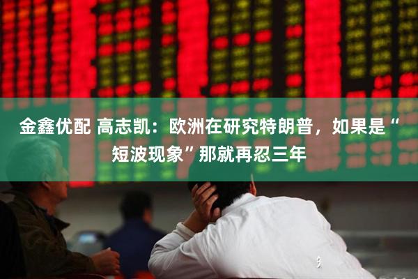金鑫优配 高志凯：欧洲在研究特朗普，如果是“短波现象”那就再忍三年